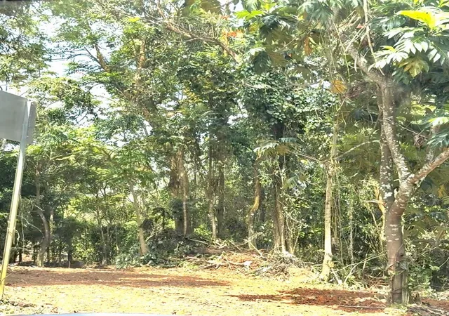 Homes for sale in Cayey, PR | Sector Terra Del Valle, Cayey, PR 00736 | MLS# PR9115282