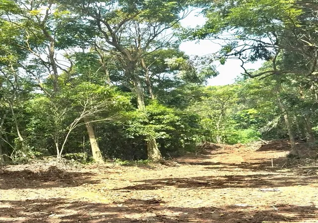 Homes for sale in Cayey, PR | Sector Terra Del Valle, Cayey, PR 00736 | MLS# PR9115282