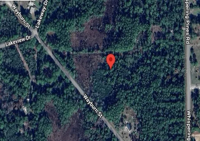 Photo 2 of Land for sale at 116 Wayburn St, Georgetown, FL 32139 | MLS# OM706969 | Listing updated on 2026-08-24