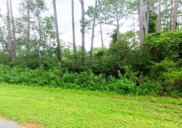 Photo 3 of Land for sale at 116 Wayburn St, Georgetown, FL 32139 | MLS# OM706969 | Listing updated on 2026-08-24