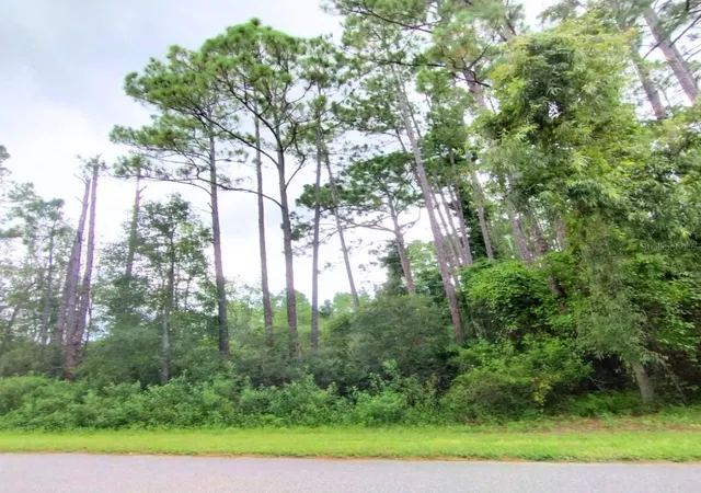 Photo 4 of Land for sale at 116 Wayburn St, Georgetown, FL 32139 | MLS# OM706969 | Listing updated on 2026-08-24
