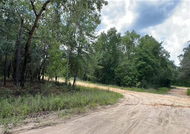 Photo 3 of Land for sale at 334 Kennedy Ave, Interlachen, FL 32148 | MLS# S5132312 | Listing updated on 2026-07-21