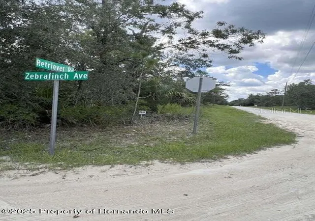 1st image of 0 Zebrafinch Ave, Brooksville, FL 34614 | MLS# TB8415321