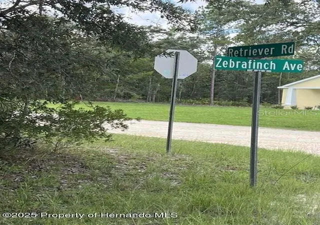 2nd image of 0 Zebrafinch Ave, Brooksville, FL 34614 | MLS# TB8415321