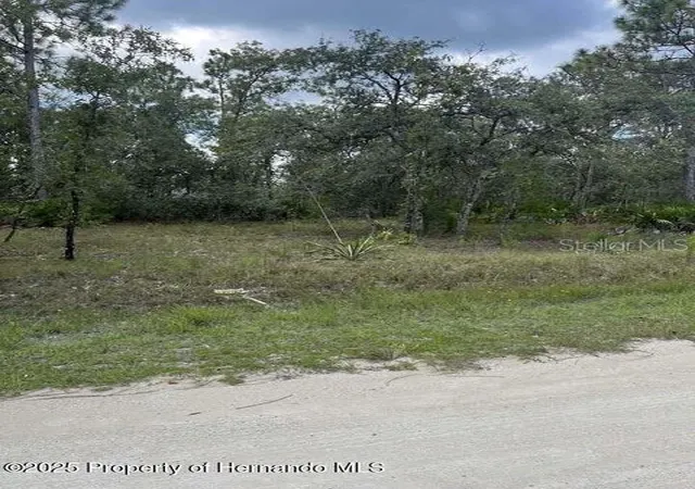 Photo 3 of Land for sale at 0 Zebrafinch Ave, Brooksville, FL 34614 | MLS# TB8415321 | Listing updated on 2026-08-15