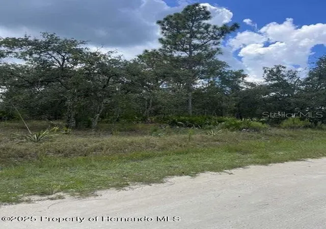 Photo 3 of Land for sale at 0 Zebrafinch Ave, Brooksville, FL 34614 | MLS# TB8415321 | Listing updated on 2026-08-15