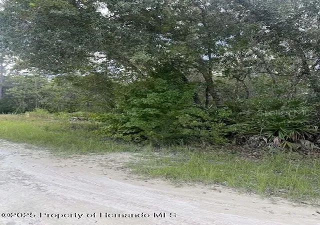 Photo 4 of Land for sale at 0 Zebrafinch Ave, Brooksville, FL 34614 | MLS# TB8415321 | Listing updated on 2026-08-15