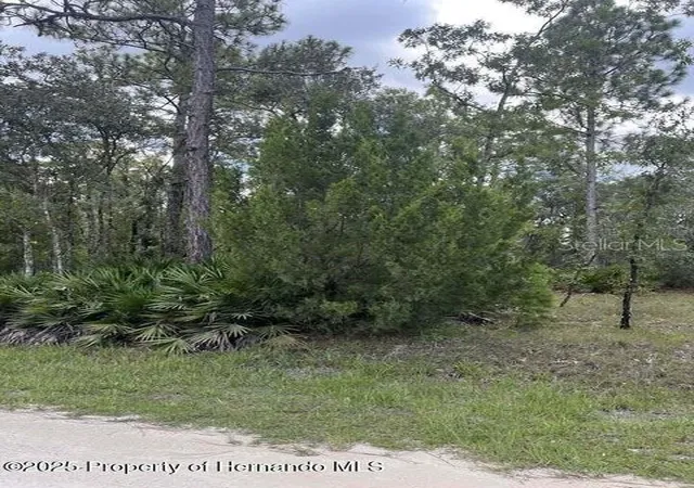 7th image of 0 Zebrafinch Ave, Brooksville, FL 34614 | MLS# TB8415321