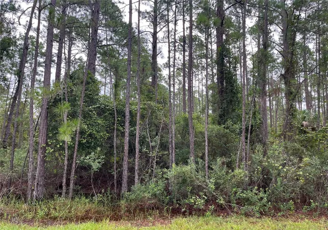 Photo 1 of Land for sale at 117 Mosswood St, Georgetown, FL 32139 | MLS# OK225488 | Listing updated on 2026-08-20