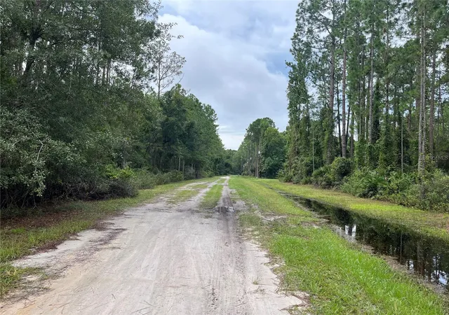 Photo 2 of Land for sale at 117 Mosswood St, Georgetown, FL 32139 | MLS# OK225488 | Listing updated on 2026-08-20