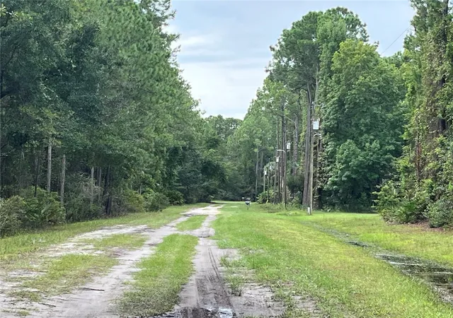 Photo 3 of Land for sale at 117 Mosswood St, Georgetown, FL 32139 | MLS# OK225488 | Listing updated on 2026-08-20