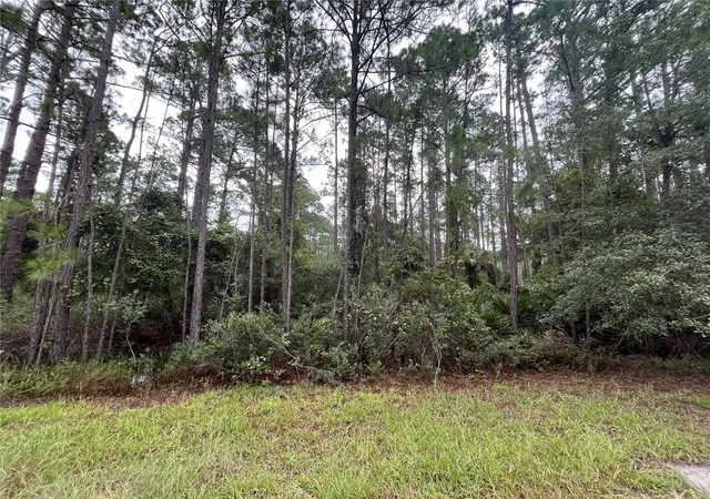 Photo 3 of Land for sale at 117 Mosswood St, Georgetown, FL 32139 | MLS# OK225488 | Listing updated on 2026-08-20