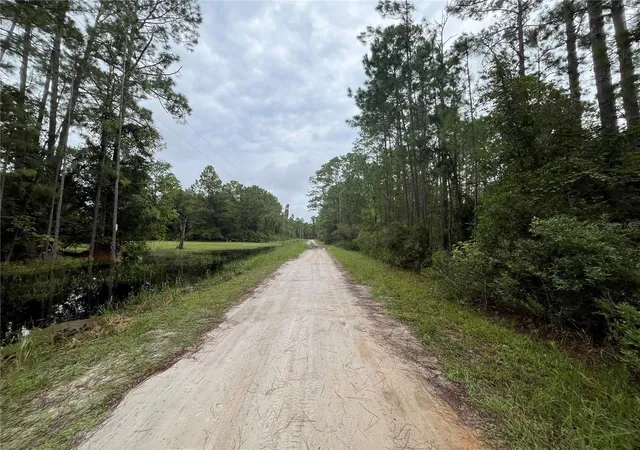 Photo 4 of Land for sale at 117 Mosswood St, Georgetown, FL 32139 | MLS# OK225488 | Listing updated on 2026-08-20
