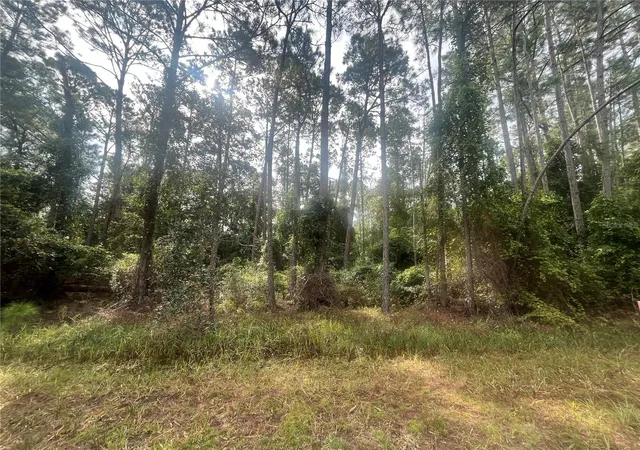 Homes for sale in Georgetown, FL | 223 Se 2nd St, Georgetown, FL 32139 | MLS# OK225494