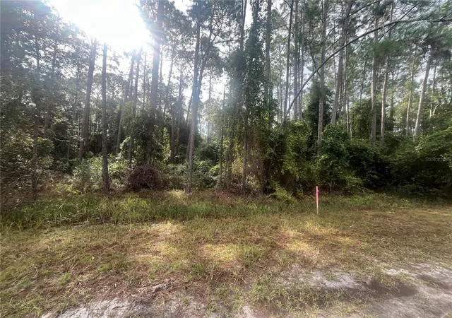 Homes for sale in Georgetown, FL | 223 Se 2nd St, Georgetown, FL 32139 | MLS# OK225494