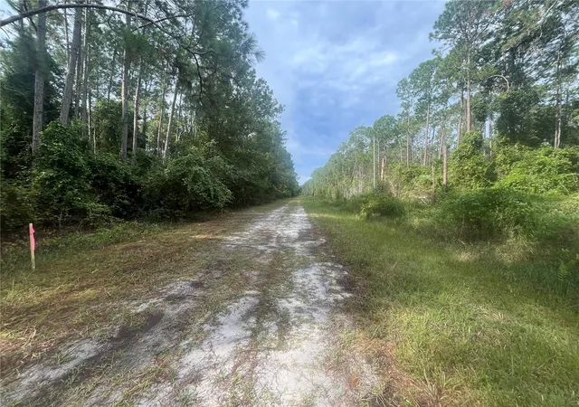 Homes for sale in Georgetown, FL | 223 Se 2Nd St, Georgetown, FL 32139 | MLS# OK225494