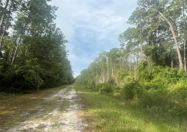 Homes for sale in Georgetown, FL | 223 Se 2Nd St, Georgetown, FL 32139 | MLS# OK225494