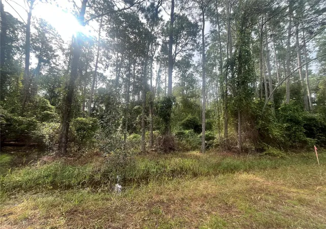 Homes for sale in Georgetown, FL | 223 Se 2Nd St, Georgetown, FL 32139 | MLS# OK225494