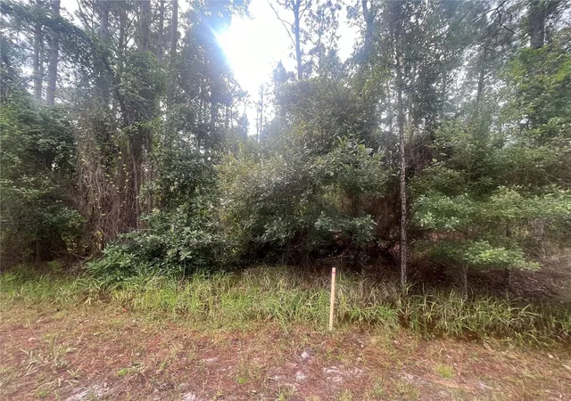 Homes for sale in Georgetown, FL | 223 Se 2nd St, Georgetown, FL 32139 | MLS# OK225494