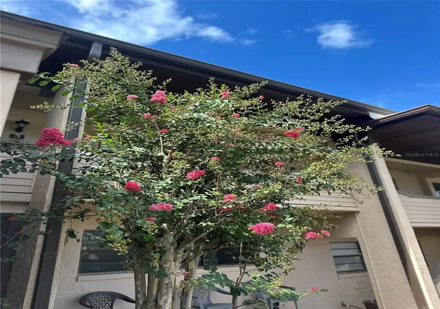 3rd image of 2415 Ne 7Th St #2, Ocala, FL 34470 | MLS# OM707247