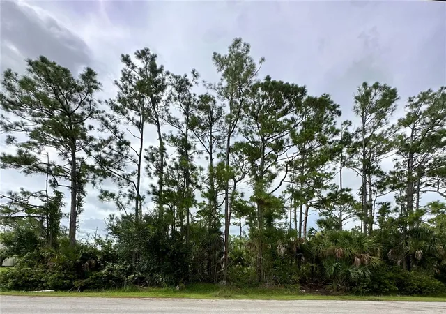 Photo 4 of Land for sale at Lot 16 Donatello Ave, North Port, FL 34286 | MLS# A4661601 | Listing updated on 2026-08-26