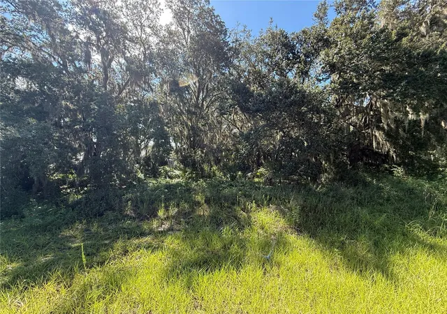 Photo 4 of Land for sale at Lot 98 Bear Den Dr, Eustis, FL 32736 | MLS# G5100659 | Listing updated on 2026-08-18