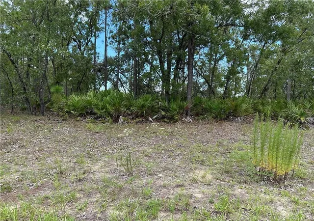 Photo 1 of Land for sale at 1195 W Hampshire Blvd, Citrus Springs, FL 34434 | MLS# W7878099 | Listing updated on 2026-08-14