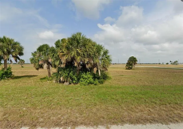Photo 1 of Land for sale at 44 Thrush Dr, Placida, FL 33946 | MLS# O6335352 | Listing updated on 2026-10-21