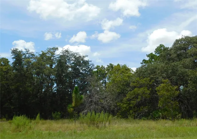 Photo 1 of Land for sale at 6681 N Bedstrow Blvd, Dunnellon, FL 34434 | MLS# W7878137 | Listing updated on 2026-10-02