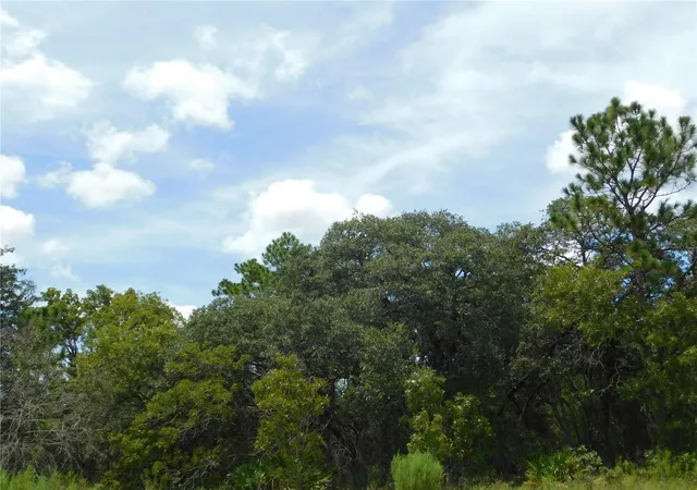 Photo 2 of Land for sale at 6681 N Bedstrow Blvd, Dunnellon, FL 34434 | MLS# W7878137 | Listing updated on 2026-10-02