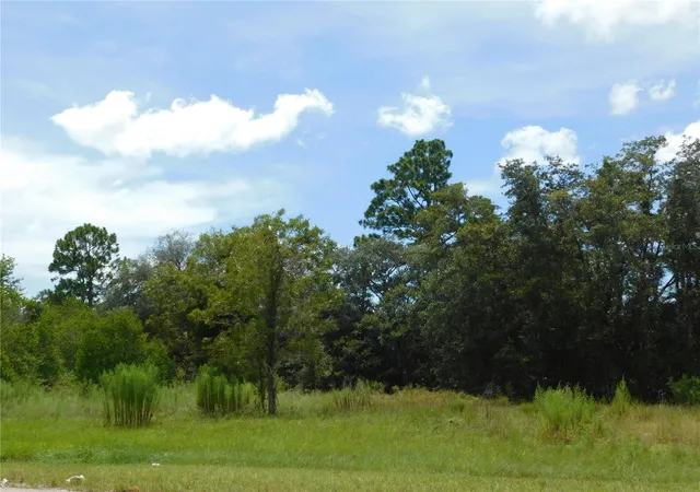 Photo 3 of Land for sale at 6681 N Bedstrow Blvd, Dunnellon, FL 34434 | MLS# W7878137 | Listing updated on 2026-10-02