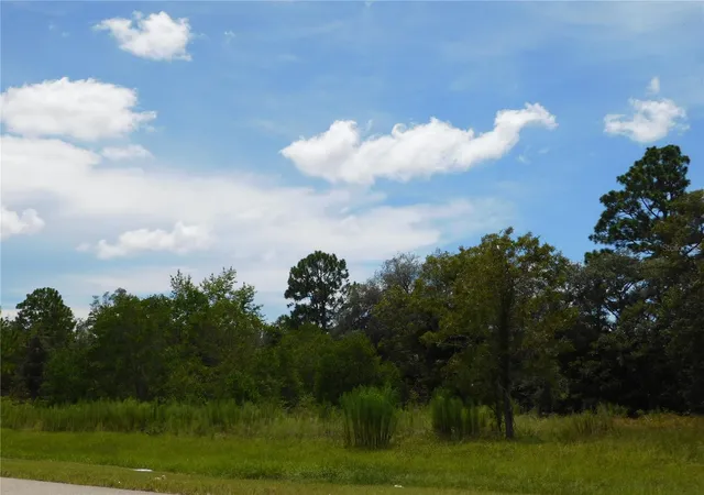 Photo 3 of Land for sale at 6681 N Bedstrow Blvd, Dunnellon, FL 34434 | MLS# W7878137 | Listing updated on 2026-10-02