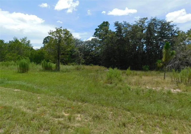 Photo 4 of Land for sale at 6681 N Bedstrow Blvd, Dunnellon, FL 34434 | MLS# W7878137 | Listing updated on 2026-10-02