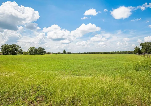 17th image of 12410 Thonotosassa Rd, Thonotosassa, FL 33592 | MLS# TB8417428