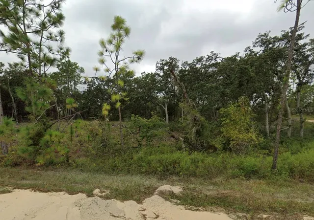 Photo 2 of Land for sale at Tbd Se 148 Avenue, Williston, FL 32696 | MLS# OM707621 | Listing updated on 2026-08-24