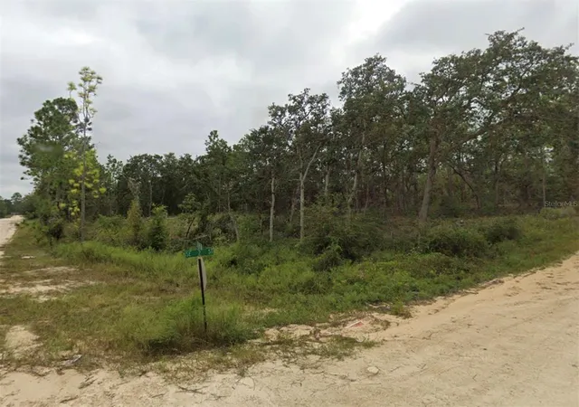 Photo 3 of Land for sale at Tbd Se 148 Avenue, Williston, FL 32696 | MLS# OM707621 | Listing updated on 2026-08-24