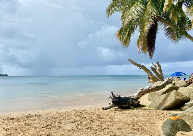 Homes for sale in Rio Grande, PR | 968 Camino Las Picuas Lot 18 #24, Rio Grande, PR 00745 | MLS# PR9115495