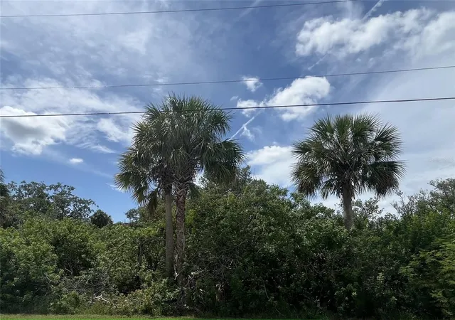 Photo 1 of Land for sale at Betty St, Port Richey, FL 34668 | MLS# W7878174 | Listing updated on 2026-07-28