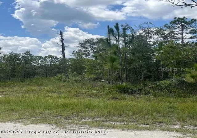 3rd image of 0 0 Yellow Frog Ave, Brooksville, FL 34614 | MLS# TB8417916