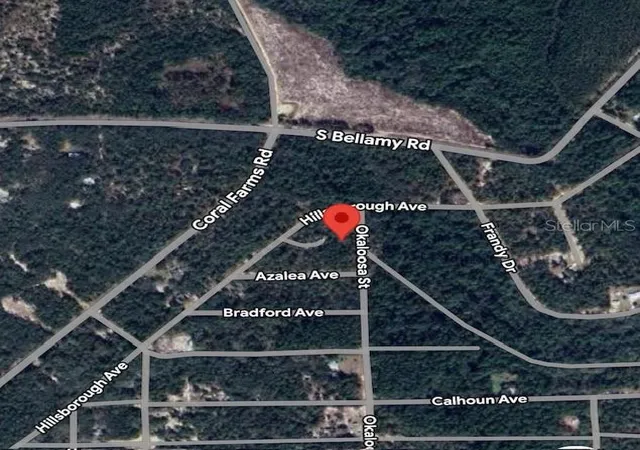 Photo 2 of Land for sale at 903 Okaloosa St, Florahome, FL 32140 | MLS# O6336504 | Listing updated on 2026-08-11