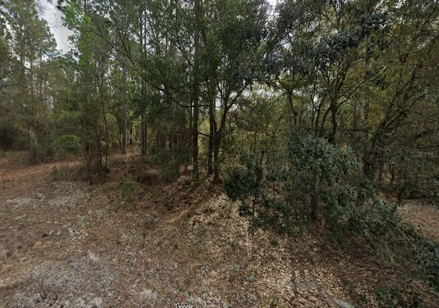 Photo 1 of Land for sale at 228 14th Street, Interlachen, FL 32148 | MLS# TB8418863 | Listing updated on 2026-09-14