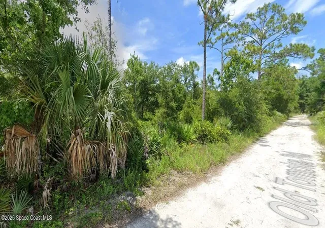 5th image of W Sr-40, Ormond Beach, FL 32174 | MLS# V4944420