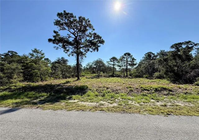 1st image of 0 Malauka Pass, Ocklawaha, FL 32179 | MLS# O6337549