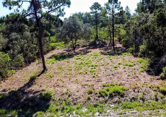 3rd image of 0 Malauka Pass, Ocklawaha, FL 32179 | MLS# O6337549