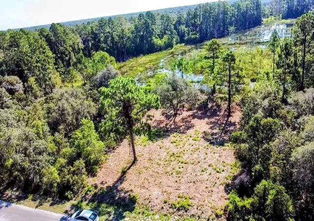 4th image of 0 Malauka Pass, Ocklawaha, FL 32179 | MLS# O6337549