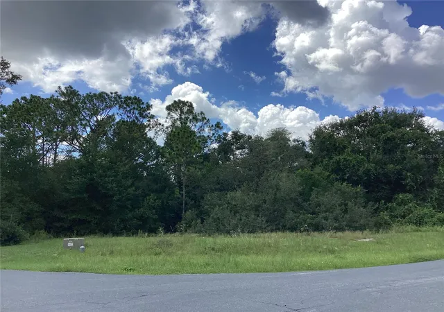 Homes for sale in Fruitland Park, FL | 0 Hickory Ridge Dr, Fruitland Park, FL 34731 | MLS# G5101089