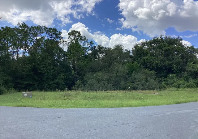 Homes for sale in Fruitland Park, FL | 0 Hickory Ridge Dr, Fruitland Park, FL 34731 | MLS# G5101089