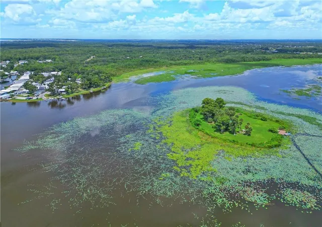 22nd image of 0 Jennings Fish Camp Rd, Lake Wales, FL 33898 | MLS# P4936019