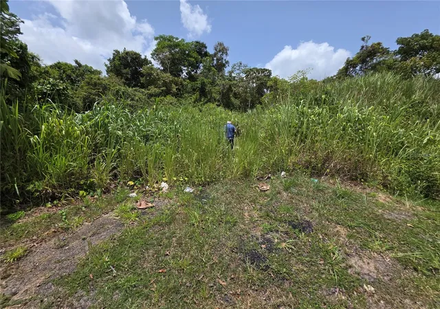 Homes for sale in Morovis, PR | Carr 137, Morovis, PR 00687 | MLS# PR9115625