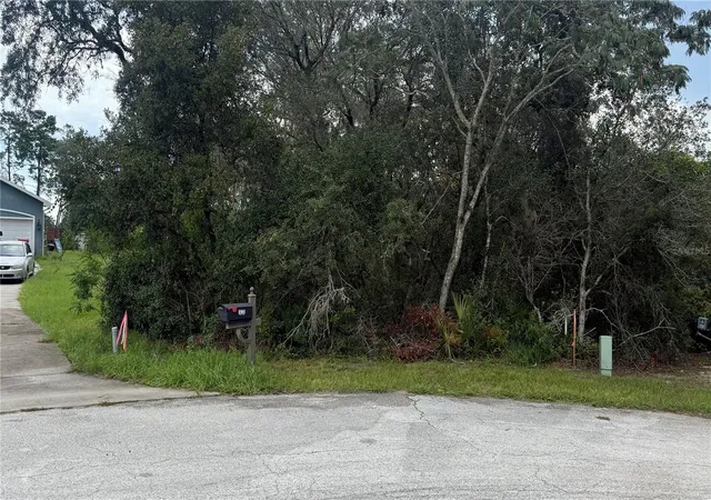 2nd image of Tbd Sw 39th Ct, Ocala, FL 34476 | MLS# OM708203